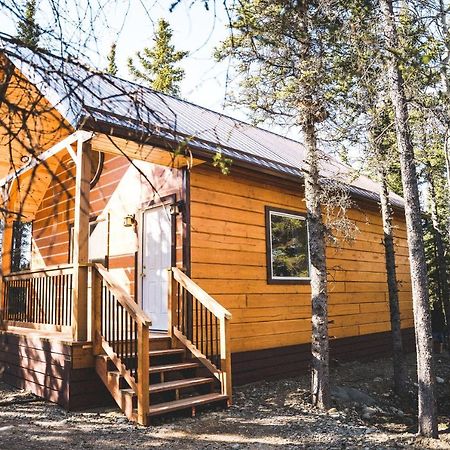 Denali Wild Stay - Redfox Cabin, Free Wifi, Private, Sleep 6 Healy Exteriér fotografie