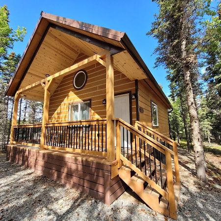 Denali Wild Stay - Redfox Cabin, Free Wifi, Private, Sleep 6 Healy Exteriér fotografie