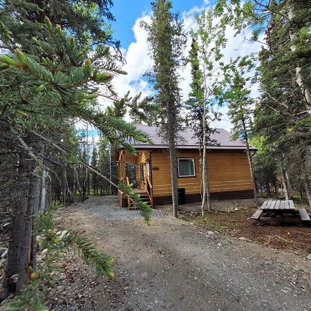 Denali Wild Stay - Redfox Cabin, Free Wifi, Private, Sleep 6 Healy Exteriér fotografie
