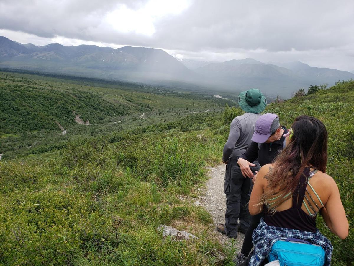 Denali Wild Stay - Redfox Cabin, Free Wifi, Private, Sleep 6 Healy Exteriér fotografie