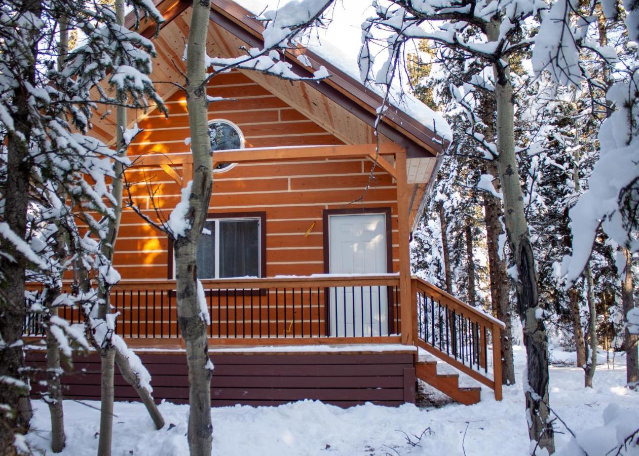 Denali Wild Stay - Redfox Cabin, Free Wifi, Private, Sleep 6 Healy Exteriér fotografie