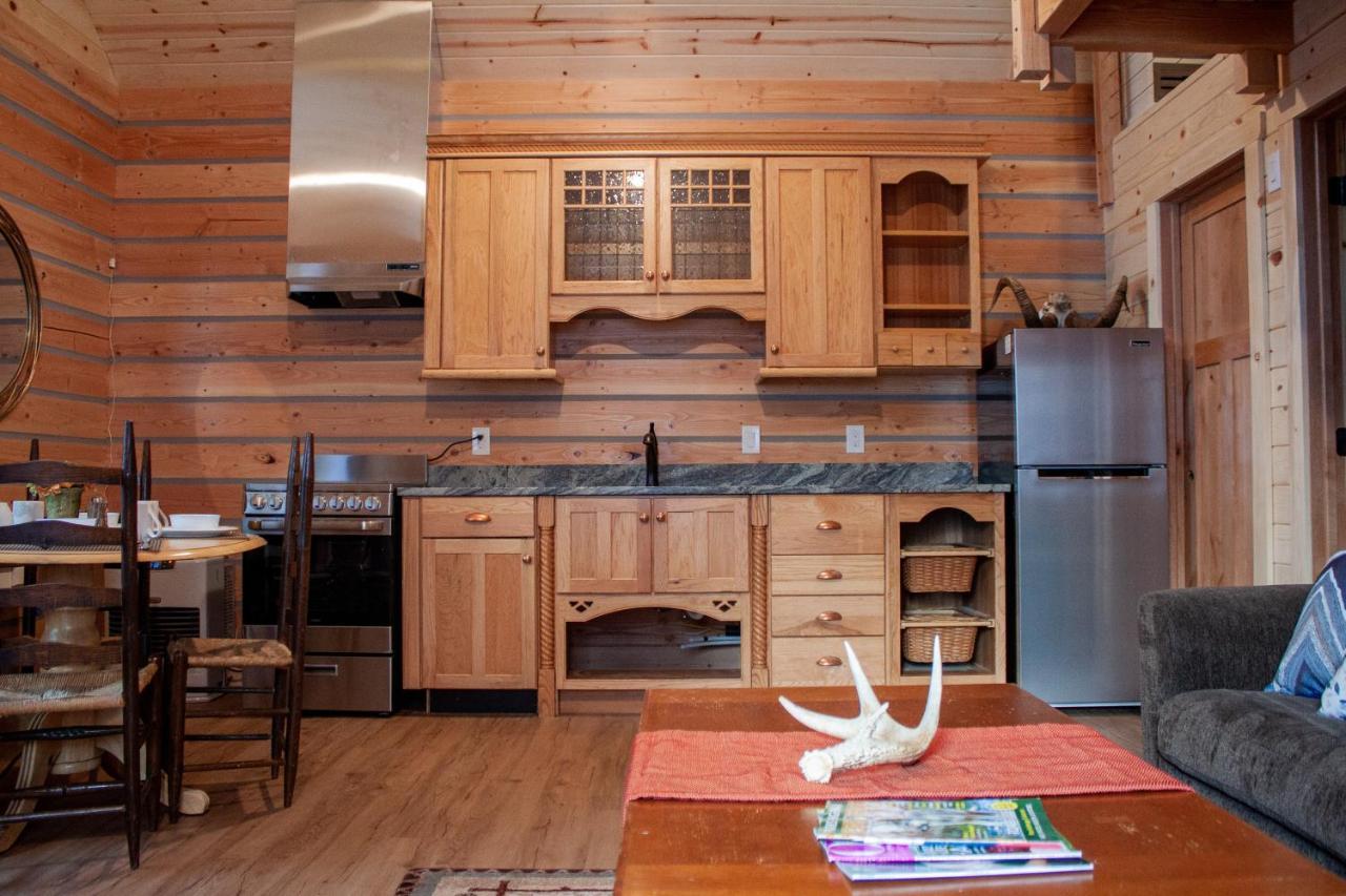 Denali Wild Stay - Redfox Cabin, Free Wifi, Private, Sleep 6 Healy Exteriér fotografie