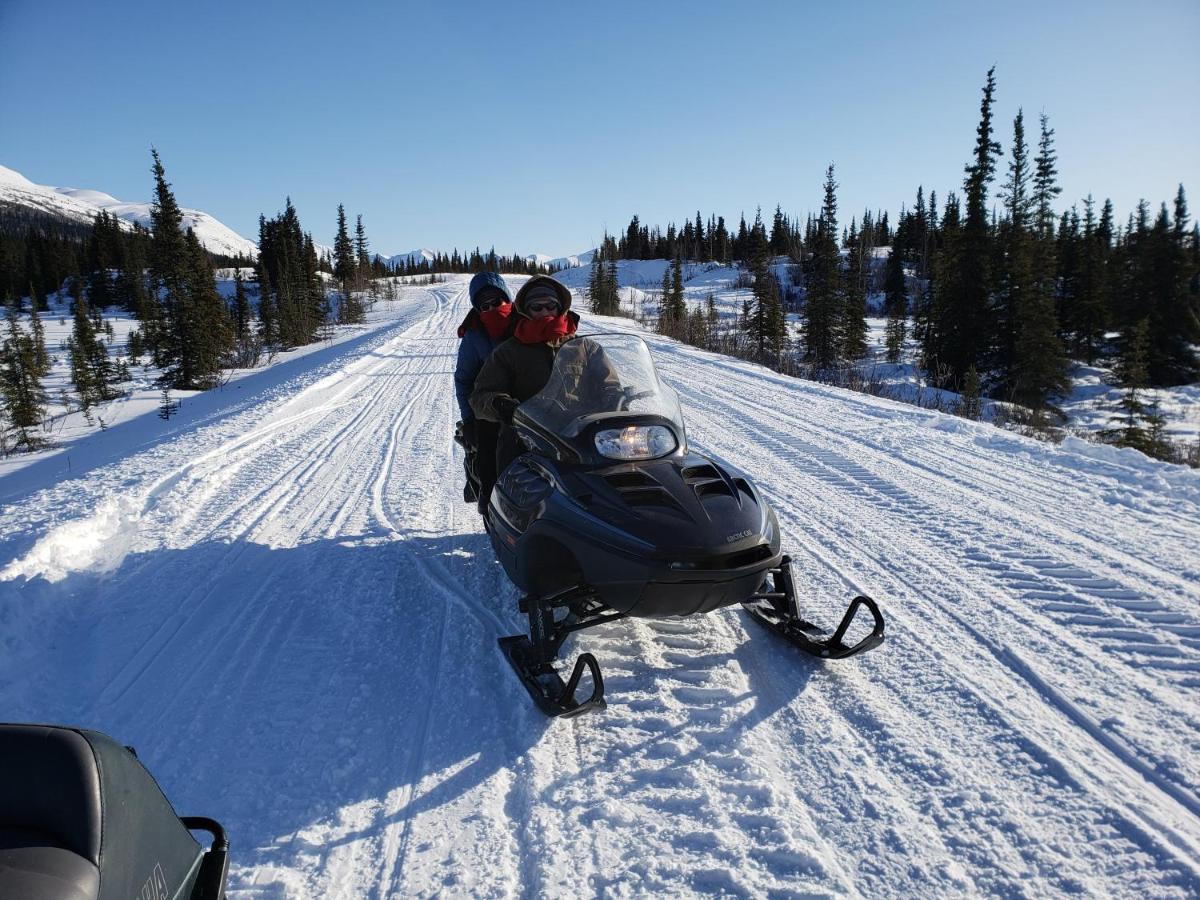 Denali Wild Stay - Redfox Cabin, Free Wifi, Private, Sleep 6 Healy Exteriér fotografie