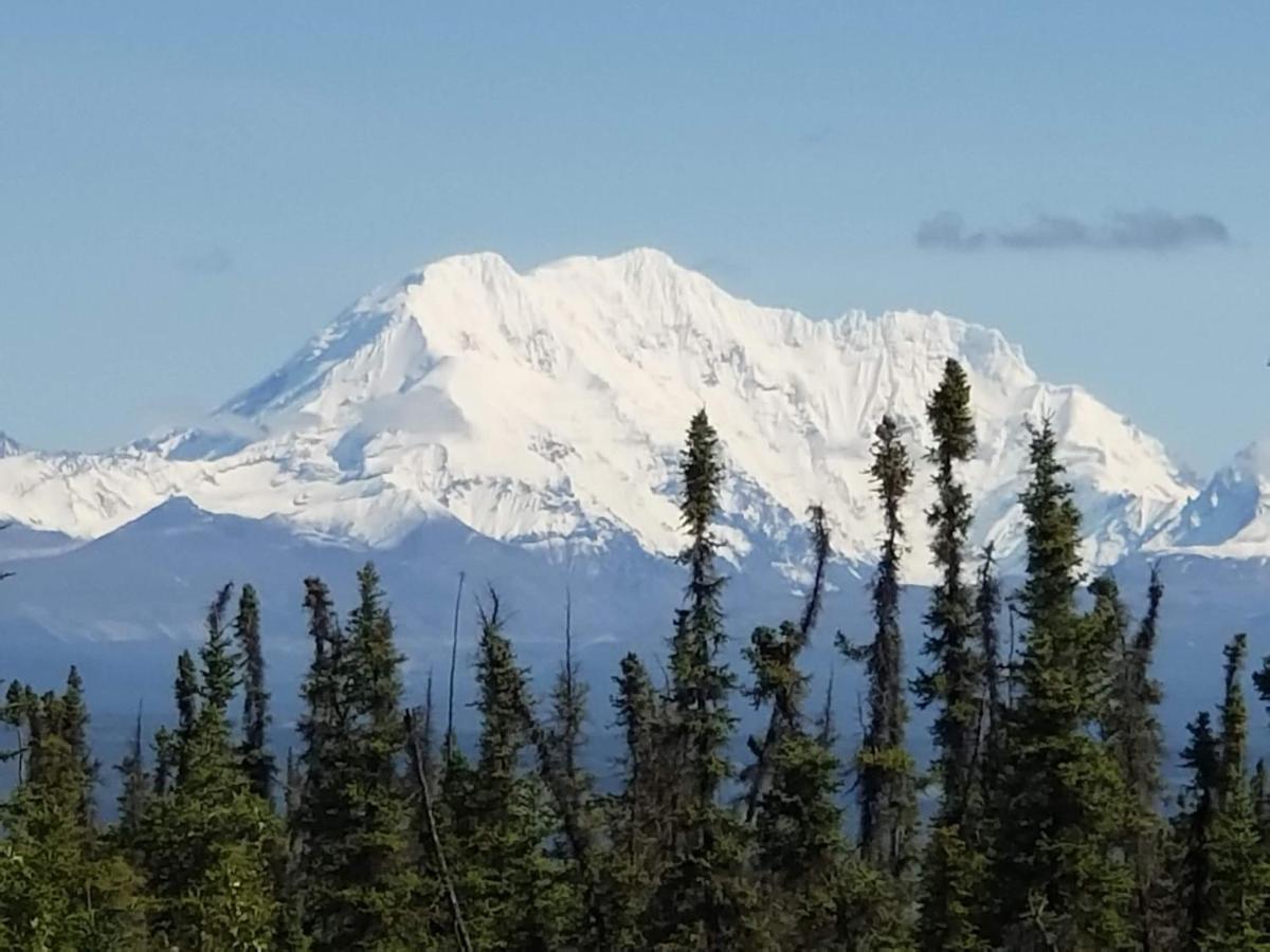 Denali Wild Stay - Redfox Cabin, Free Wifi, Private, Sleep 6 Healy Exteriér fotografie