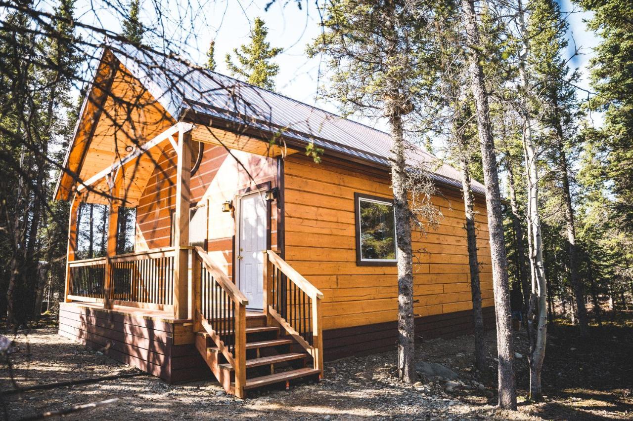 Denali Wild Stay - Redfox Cabin, Free Wifi, Private, Sleep 6 Healy Exteriér fotografie