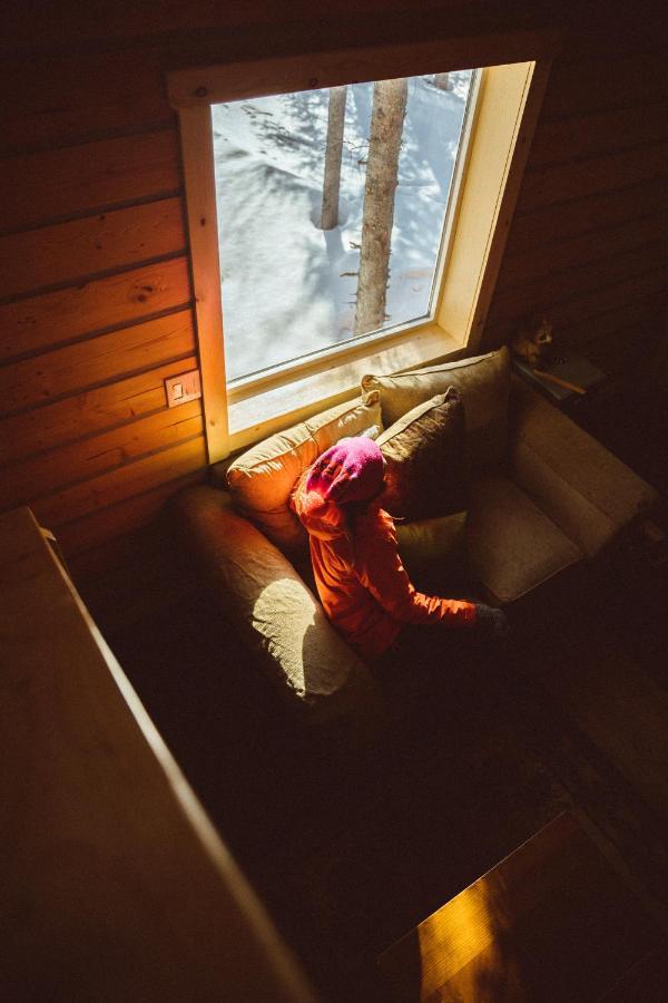 Denali Wild Stay - Redfox Cabin, Free Wifi, Private, Sleep 6 Healy Exteriér fotografie