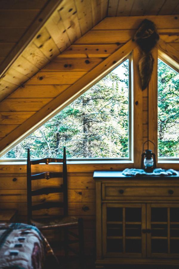 Denali Wild Stay - Redfox Cabin, Free Wifi, Private, Sleep 6 Healy Exteriér fotografie