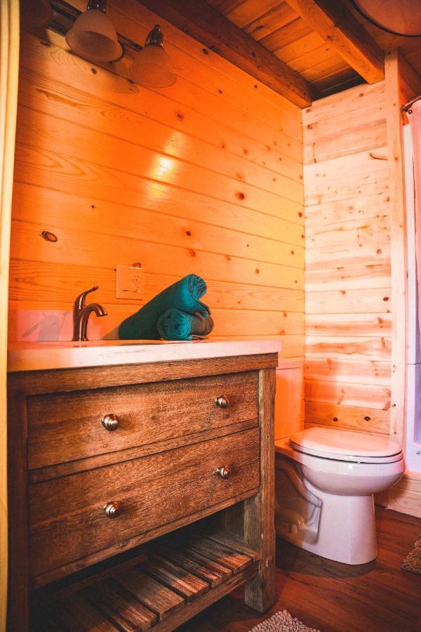 Denali Wild Stay - Redfox Cabin, Free Wifi, Private, Sleep 6 Healy Exteriér fotografie