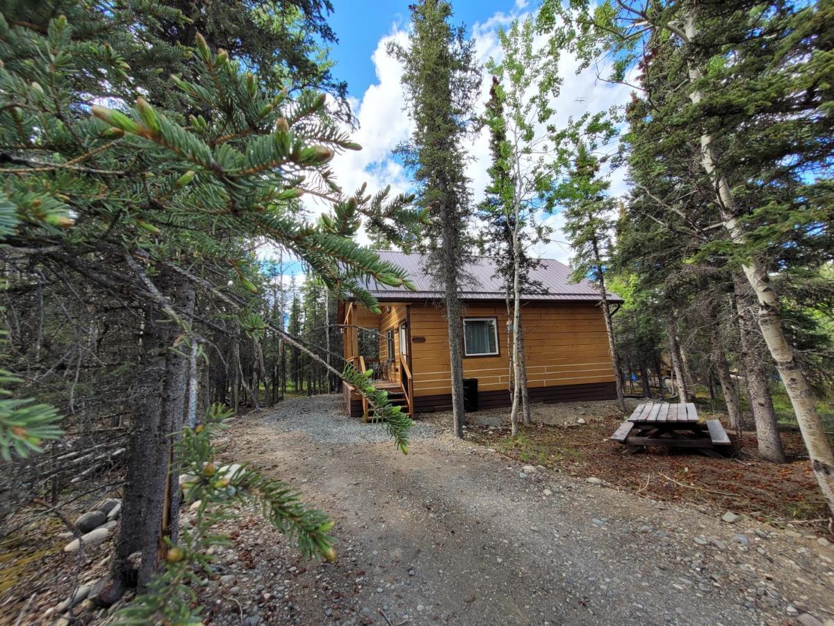 Denali Wild Stay - Redfox Cabin, Free Wifi, Private, Sleep 6 Healy Exteriér fotografie